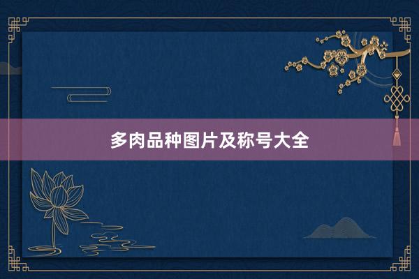 多肉品种图片及称号大全